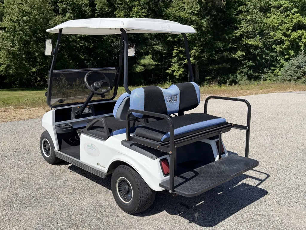 2011 Club Car DS photo 7