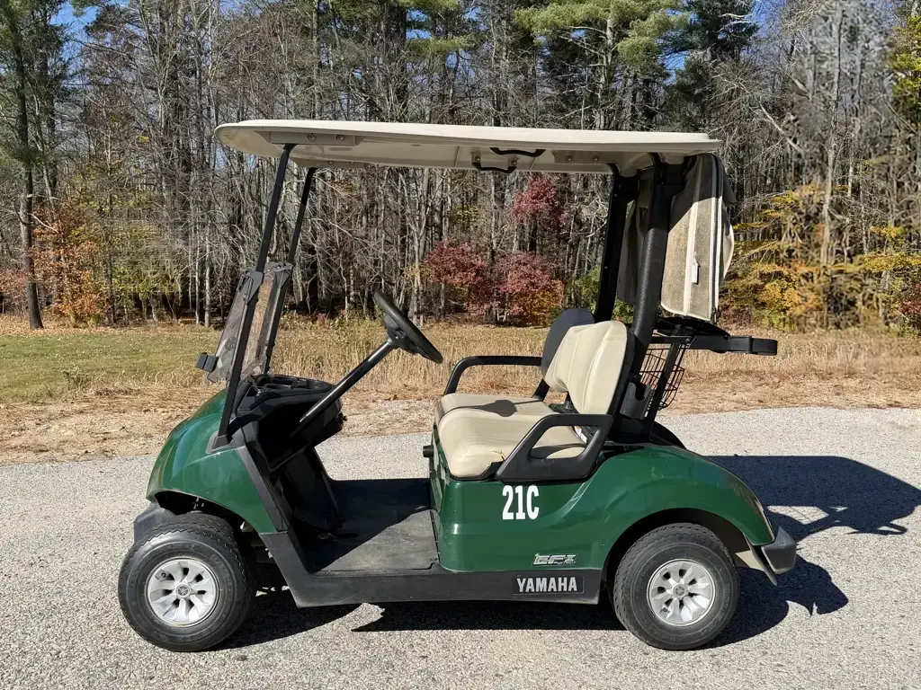2019 Yamaha Just In!  EFI Fuel Injected G29 2 Passenger Golf C photo 5
