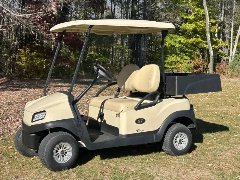 2020 Club Car Tempo photo 3