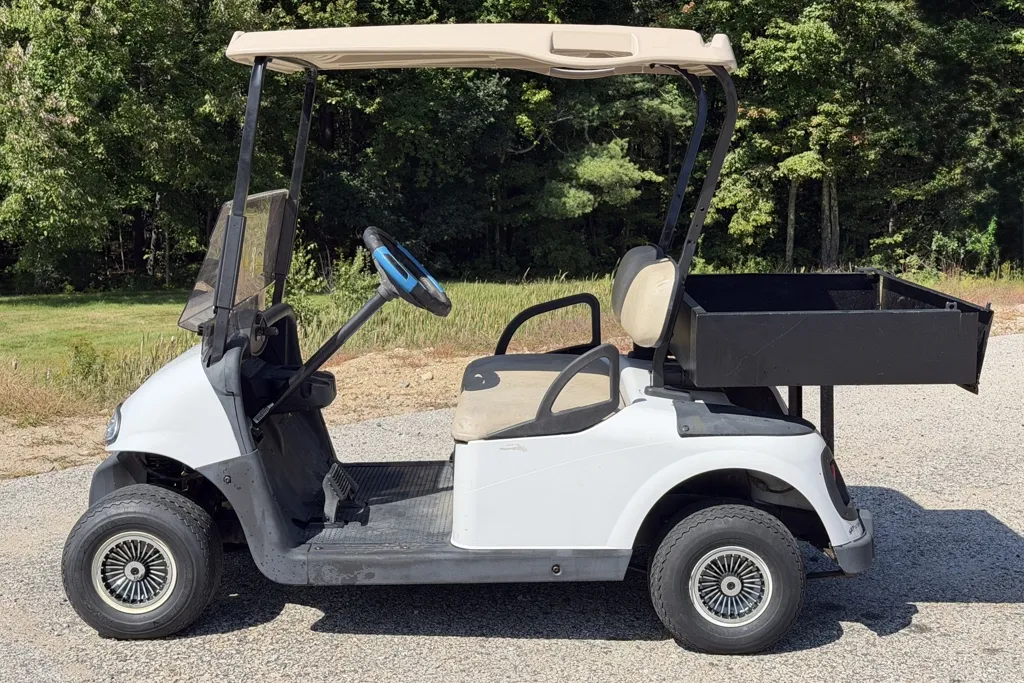 2013 E-Z-GO RXV photo 2