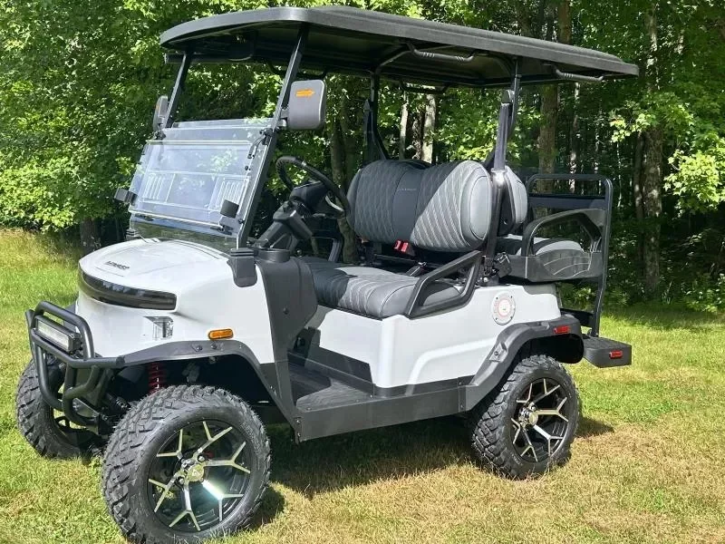 2026 Denago $219.69./Month ZERO DOWN! 0% APR Special! Denago N photo 5