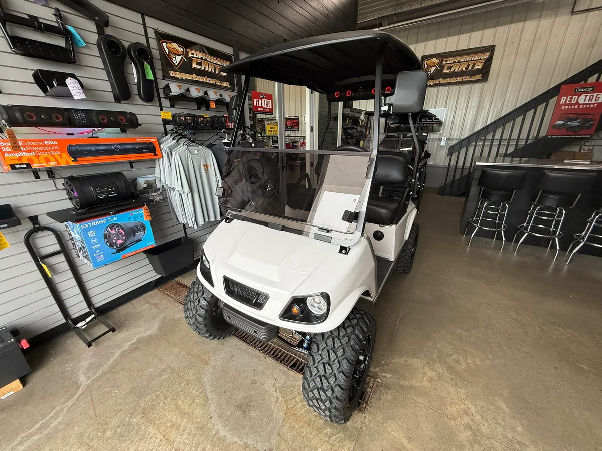 2008 Club Car DS Gas photo 1