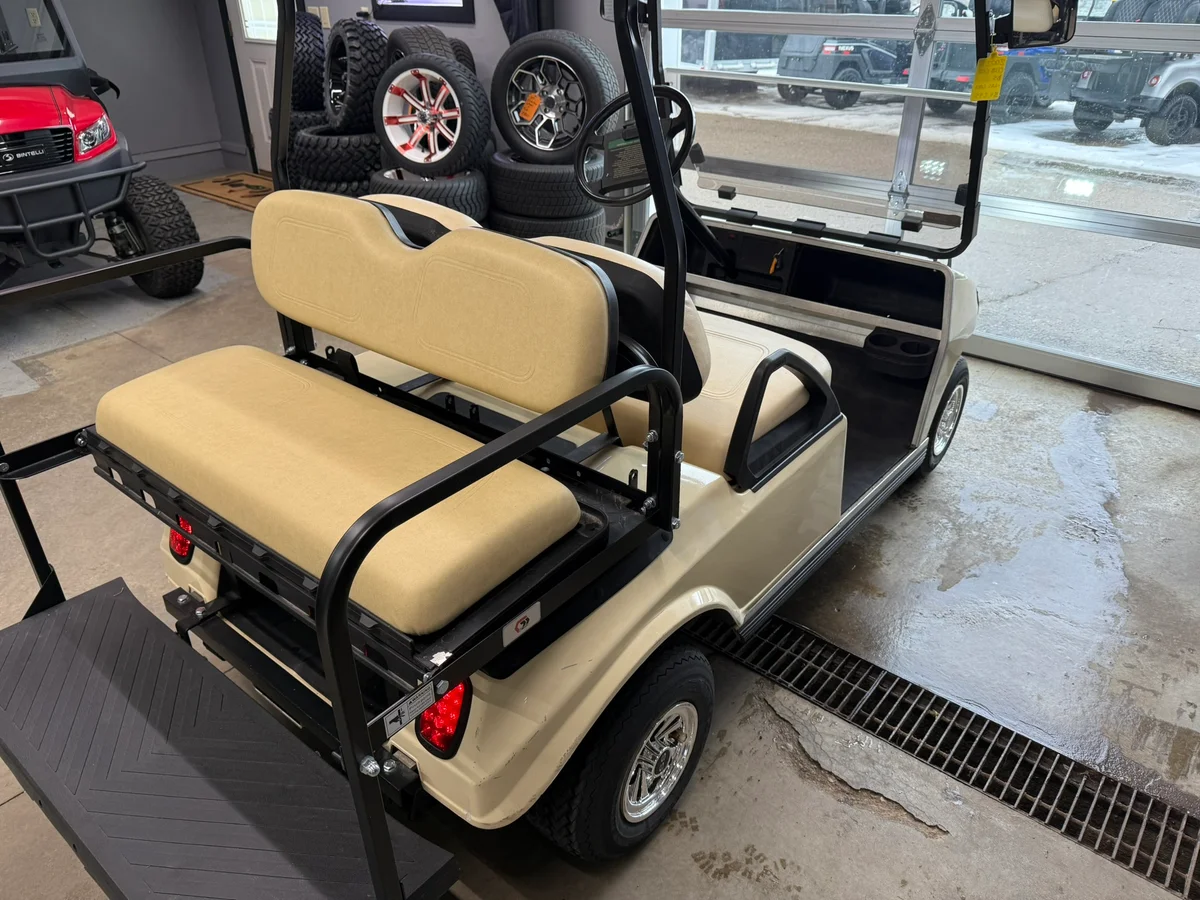 2002 Club Car DS Gas photo 6