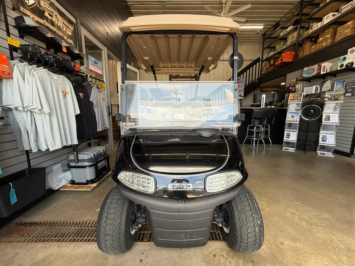 2018 E-Z-GO RXV Base photo 2