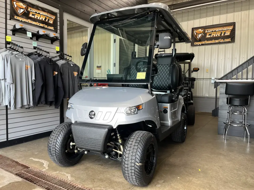 2025 Epic Carts E40 Metallic Silver photo 1