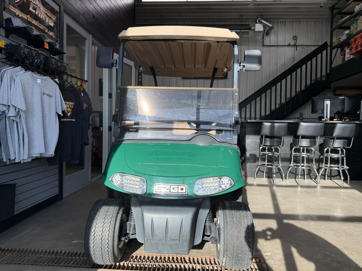 2009 E-Z-GO RXV Base photo 2