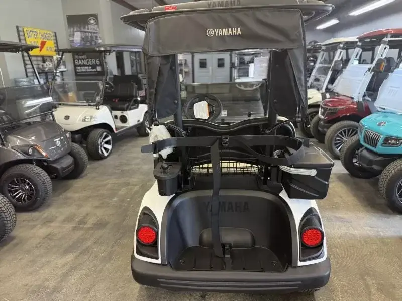 2025 Yamaha Golf Cars Drive2 - PTV (QuieTech EFI) photo 2