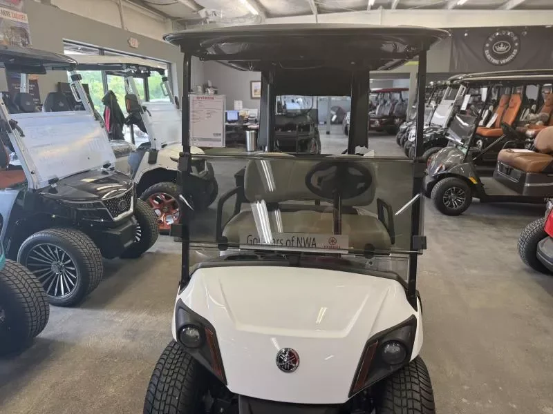 2025 Yamaha Golf Cars Drive2 - PTV (QuieTech EFI) photo 14