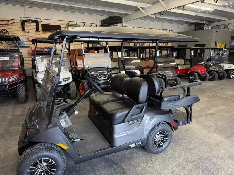 2025 Yamaha Golf Cars Drive2 - PTV (QuieTech EFI) photo 11