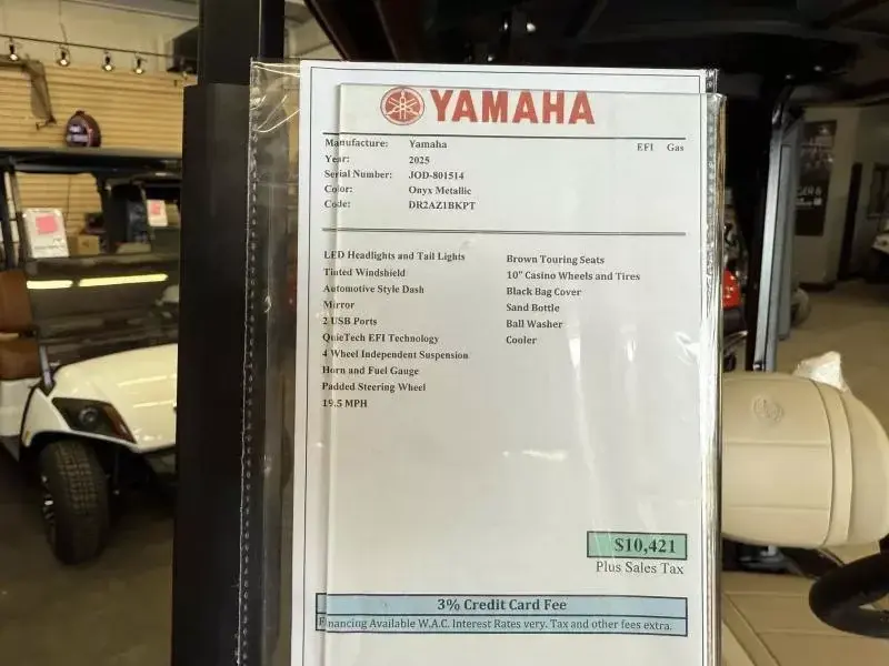 2025 Yamaha Golf Cars Drive 2 EFI photo 13