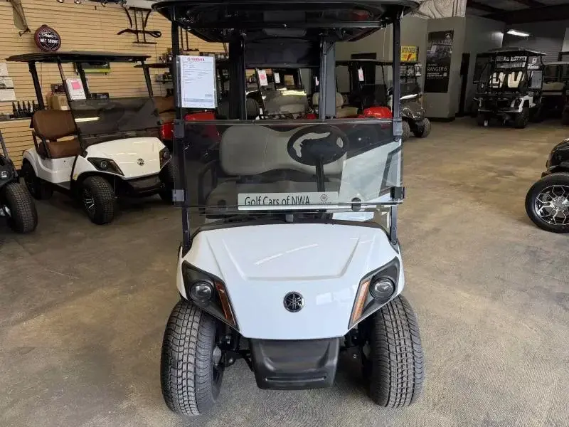 2025 Yamaha Golf Cars Drive 2 EFI photo 1