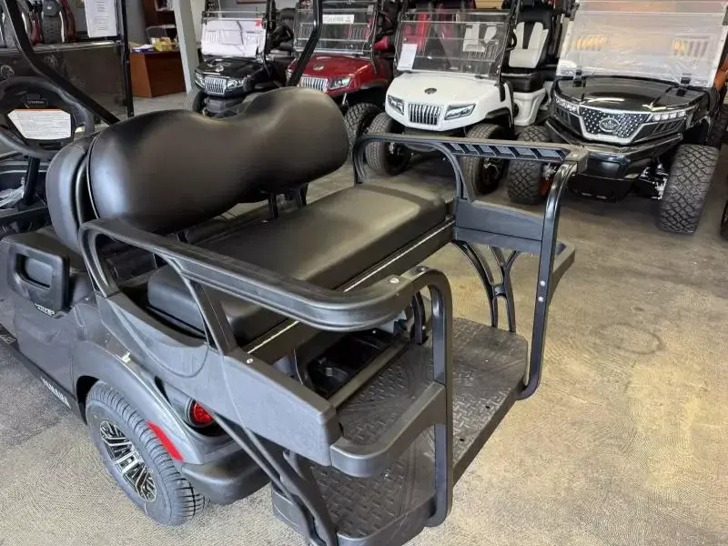 2025 Yamaha Golf Cars Drive2 - PTV (QuieTech EFI) photo 8