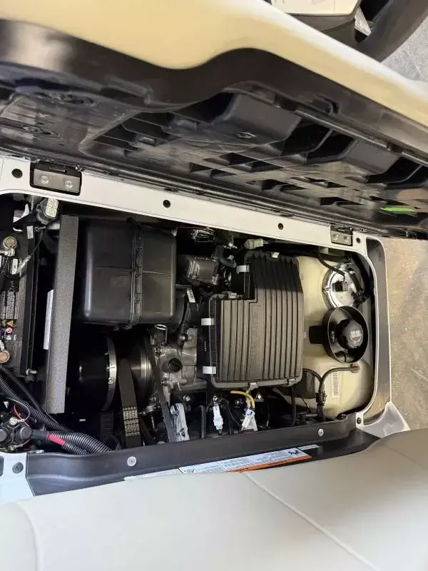 2025 Yamaha Golf Cars Drive 2 EFI photo 6