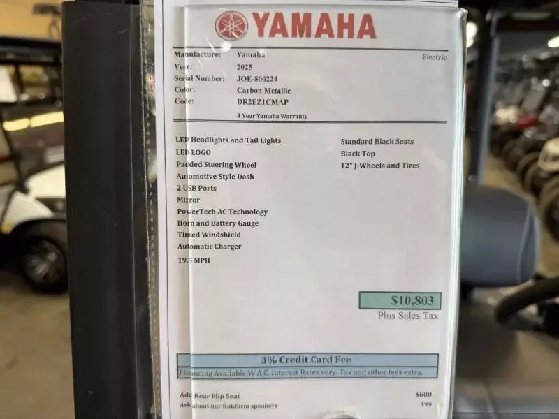 2025 Yamaha Golf Cars Drive 2 A/C Electric photo 10