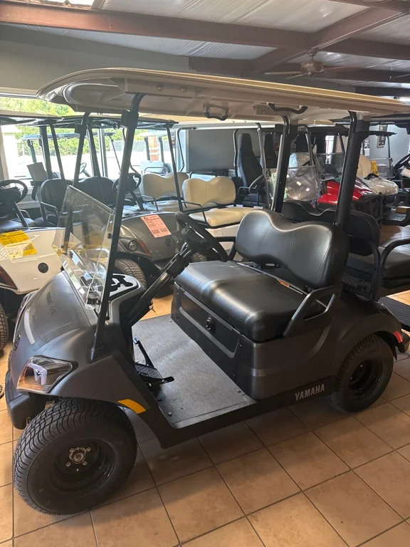 2023 Yamaha DR2EX1BAPL photo 2