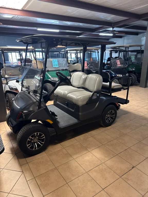 2025 Yamaha DR2EZ1CUPL photo 2