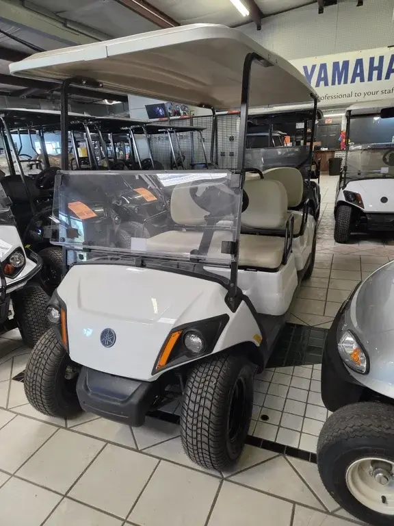 2025 Yamaha DR2AZWP4P photo 1
