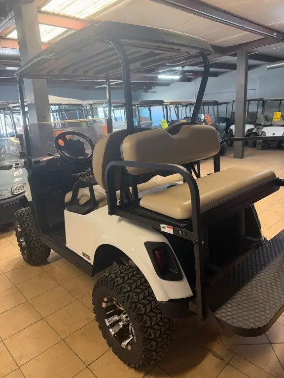 2020 E-Z-GO RXV photo 2