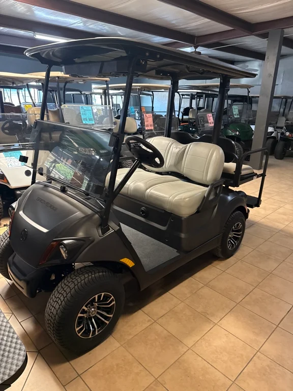 2025 Yamaha DR2EZ1CUPL photo 1