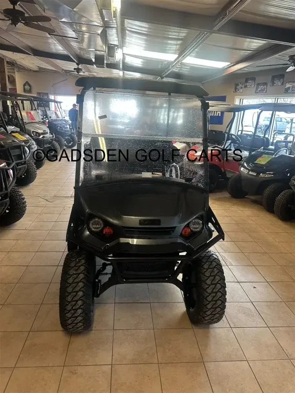 2025 E-Z-GO Express photo 1
