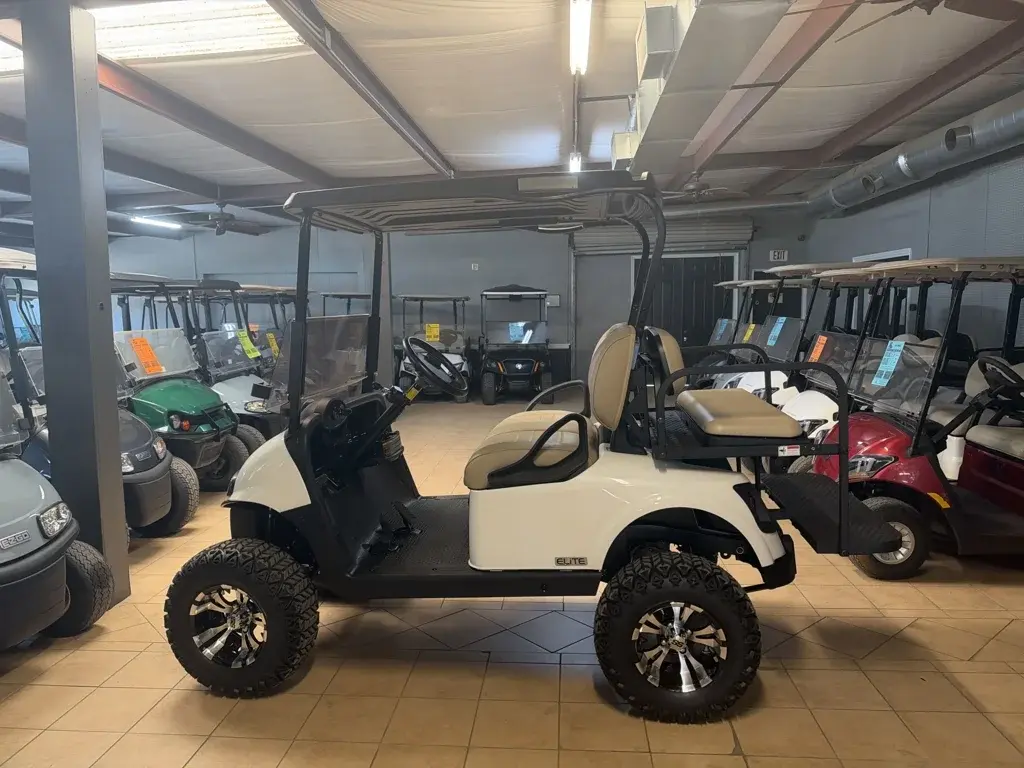 2020 E-Z-GO RXV photo 3