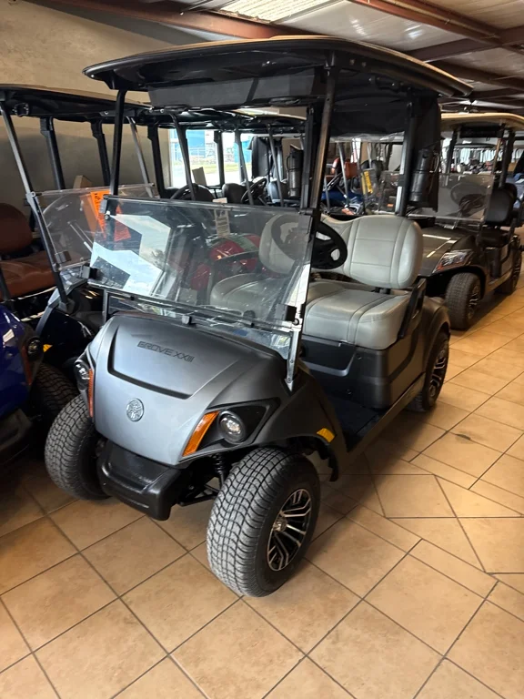 2025 Yamaha DR2EZ1CUPL photo 2