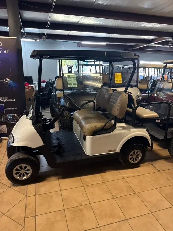 2020 E-Z-GO RXV photo 2
