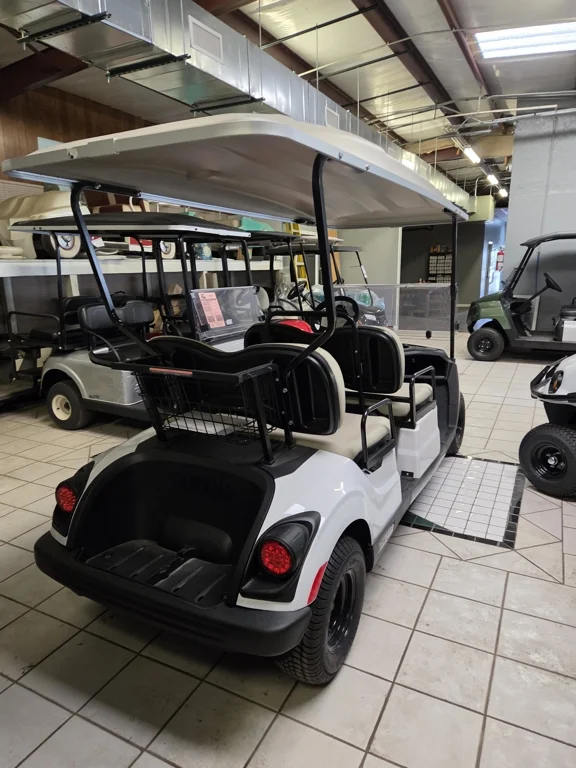 2025 Yamaha DR2AZWP4P photo 3