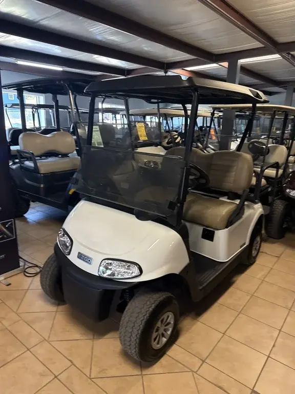 2020 E-Z-GO RXV photo 3