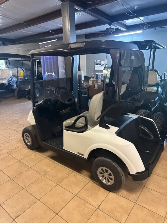 2020 E-Z-GO RXV photo 3