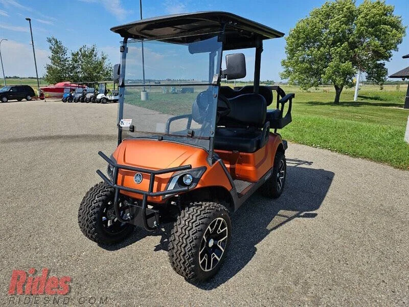 2017 Yamaha Drive 2+2 photo 4