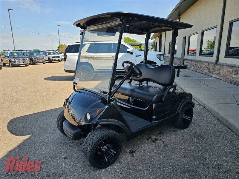 2009 Yamaha Drive Electric photo 5