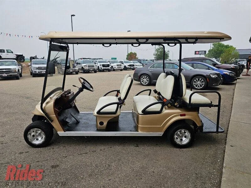 2010 Zone Electric 6 photo 7