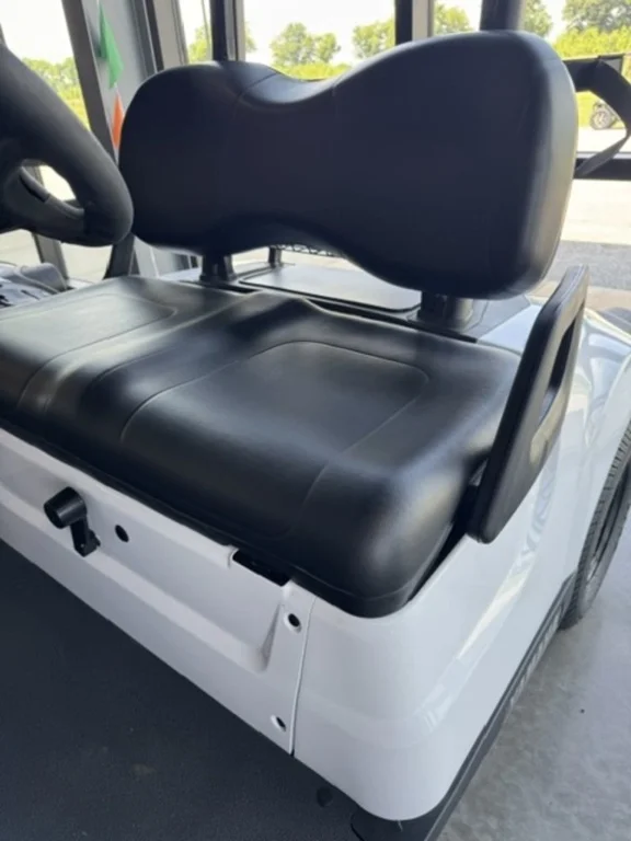 2026 Yamaha Drive2 QuieTech EFI photo 2