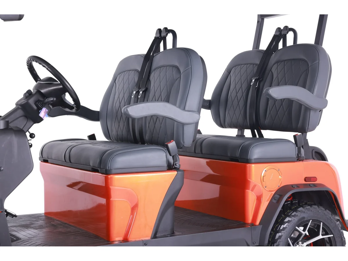2025 Denago Rover XL photo 8