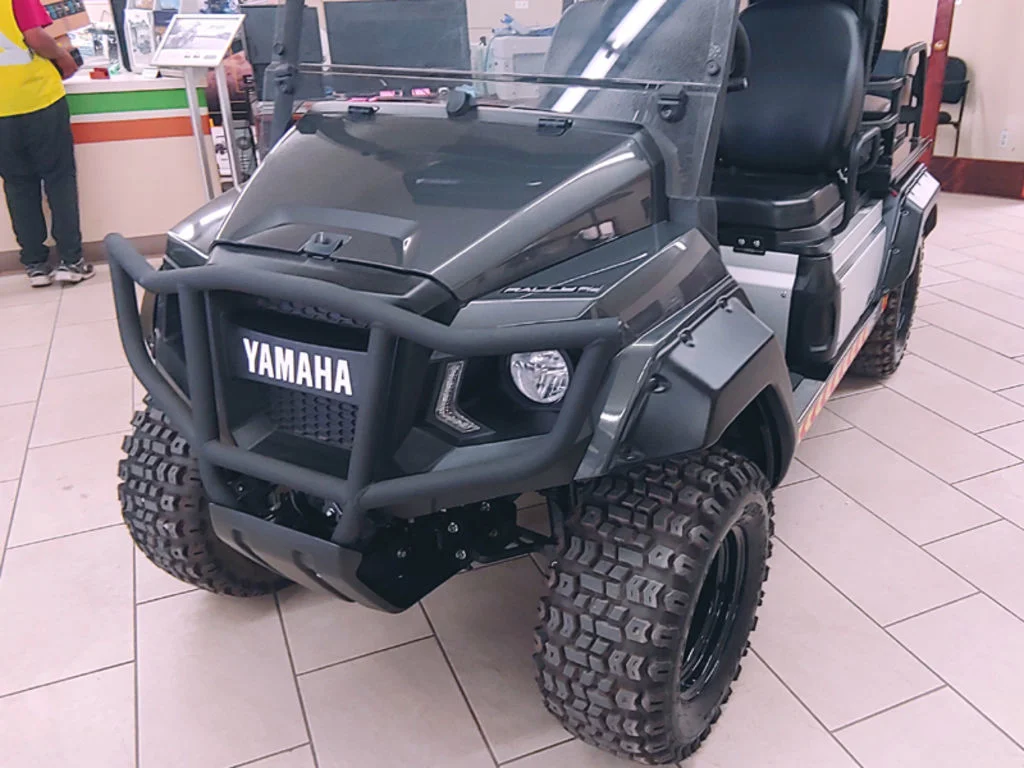2023 Yamaha UMAX Rally 2+2 photo 2