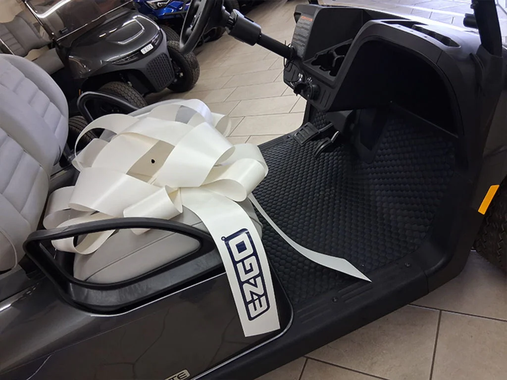 2026 E-Z-GO Freedom photo 10