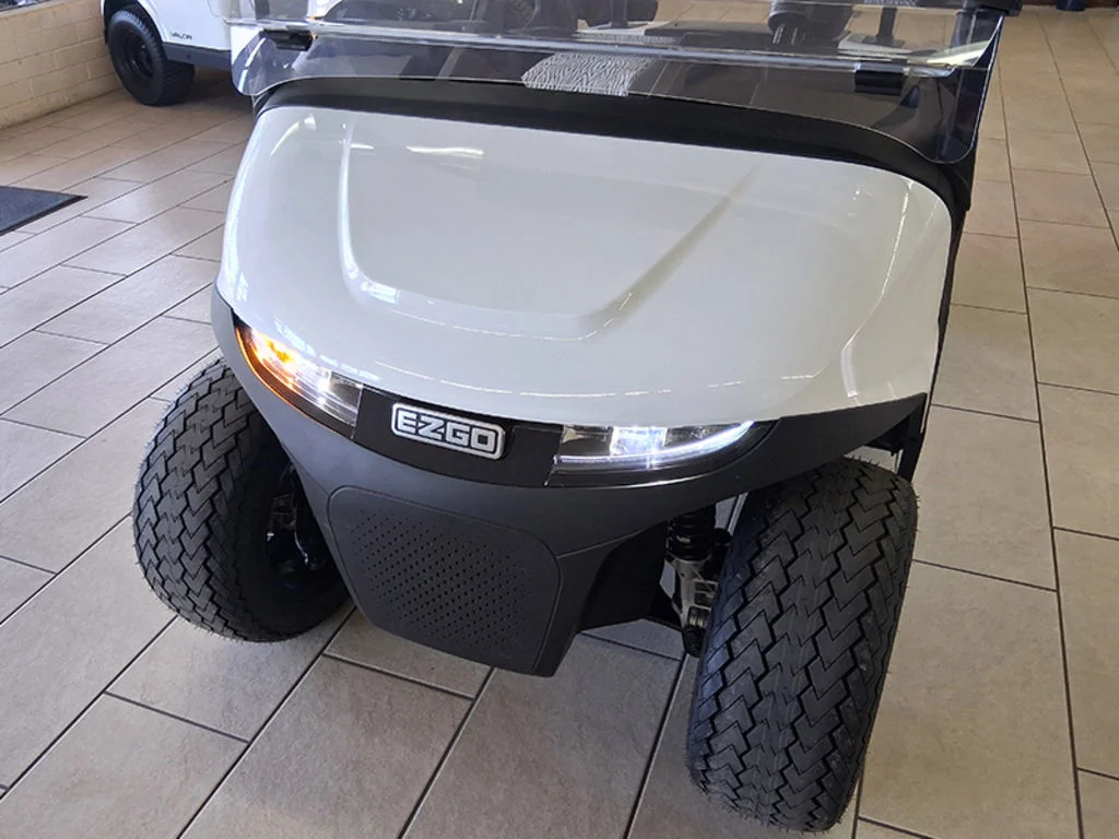 2026 E-Z-GO RXV photo 5