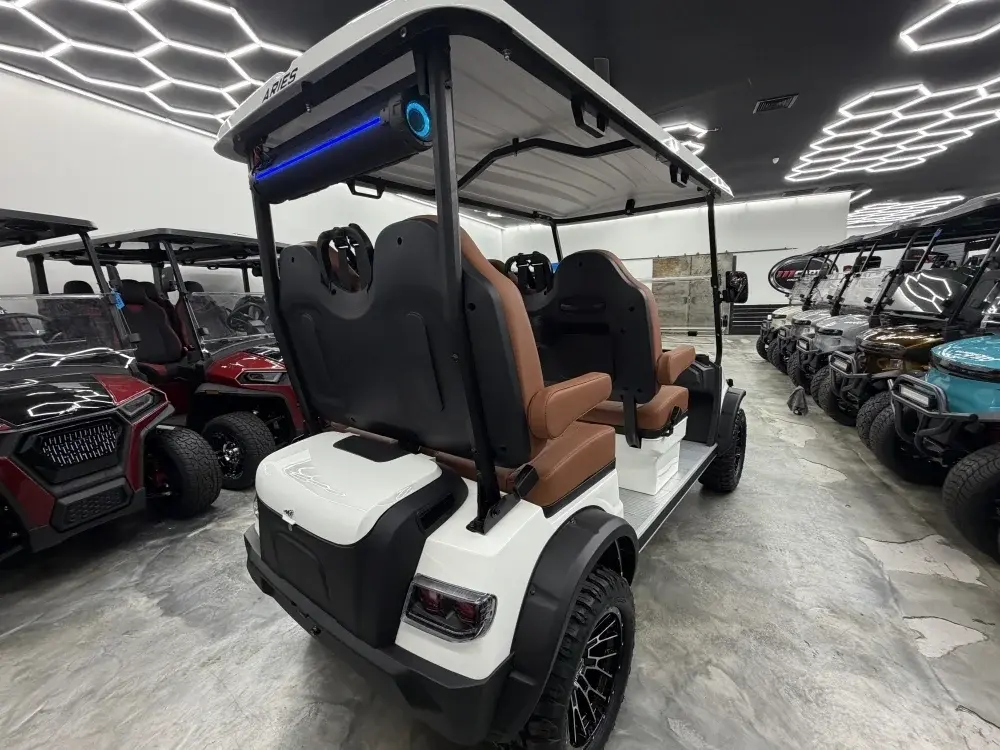 2026 Aires EV C4FXL photo 3
