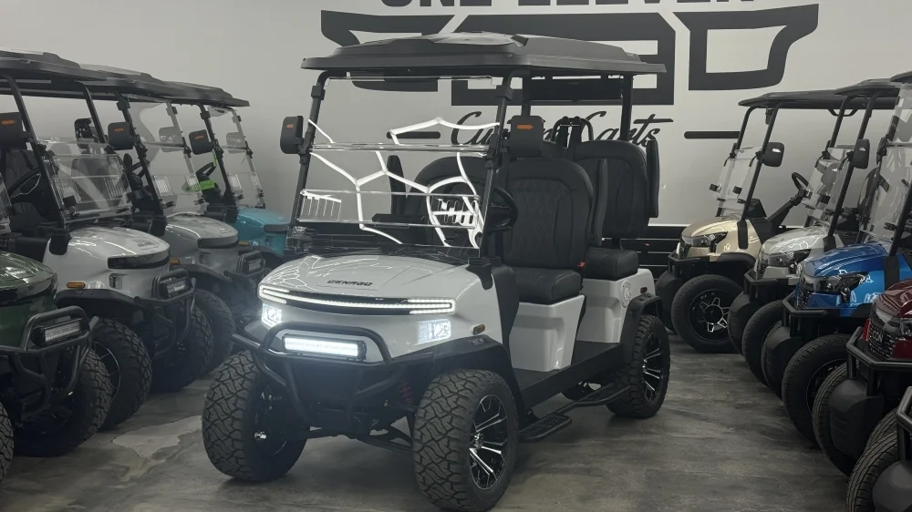 2026 Denago Rover XL photo 2