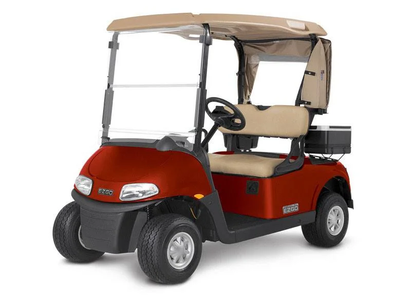 2019 E-Z-GO Freedom photo 2