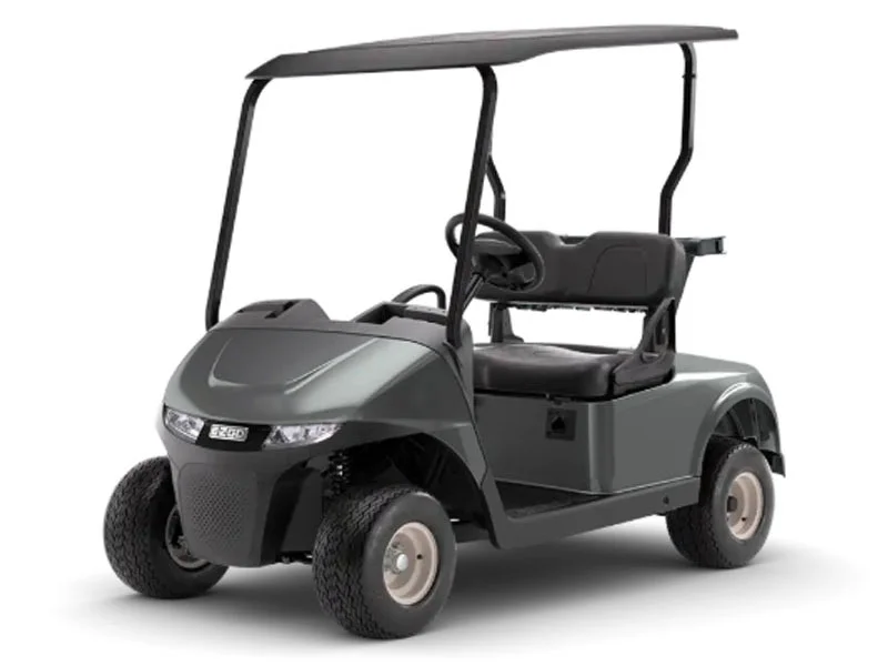 2026 E-Z-GO Freedom photo 4