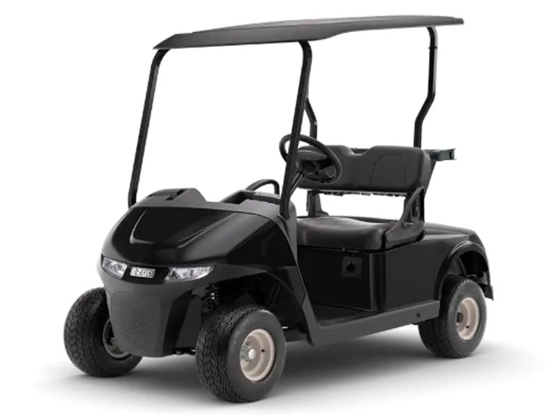 2026 E-Z-GO Freedom photo 5