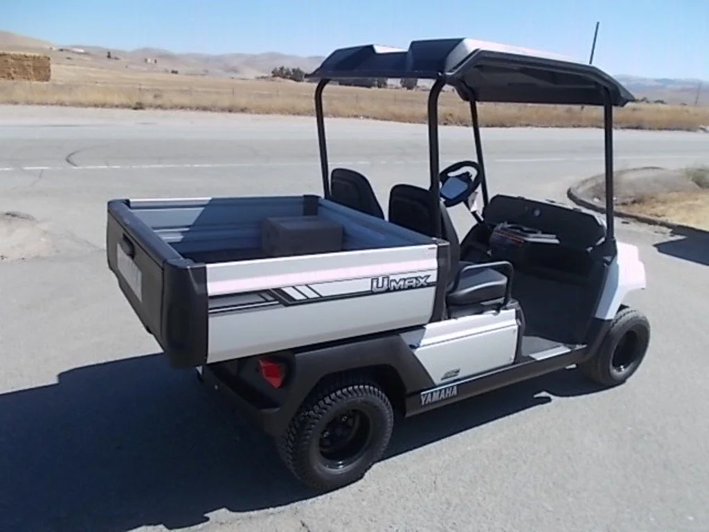 2025 Yamaha UMAX photo 3