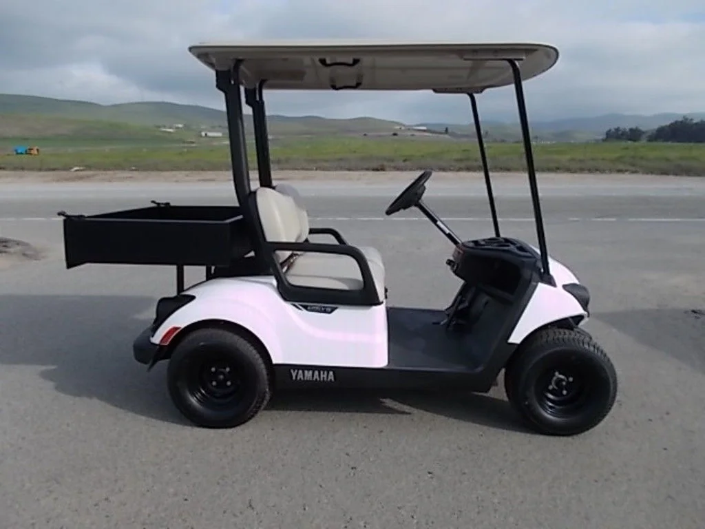2024 Yamaha Drive2 PowerTech AC photo 2