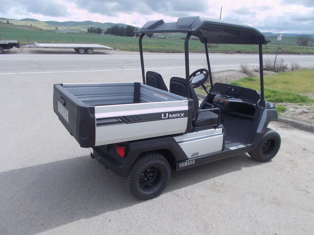 2025 Yamaha UMAX photo 2