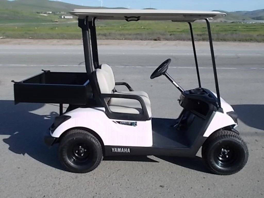 2024 Yamaha Drive2 PowerTech AC photo 2