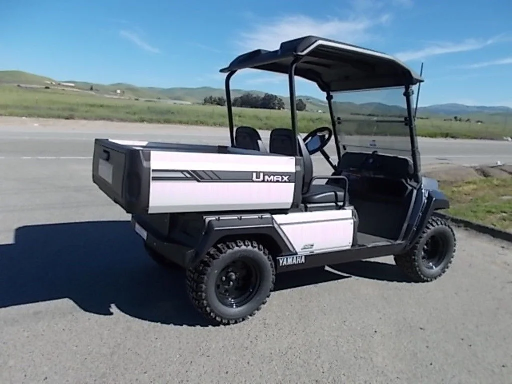 2024 Yamaha UMAX photo 3