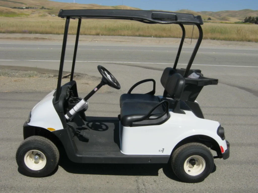 2023 E-Z-GO Freedom photo 2