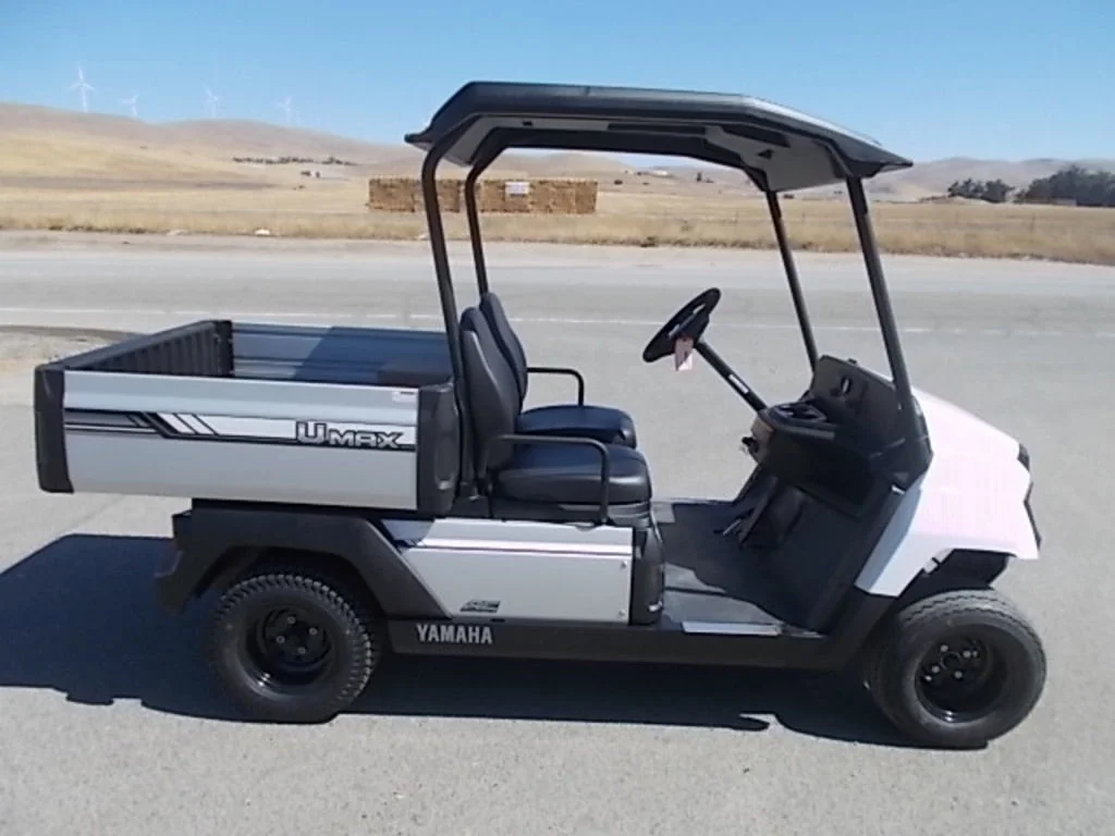 2025 Yamaha UMAX photo 2